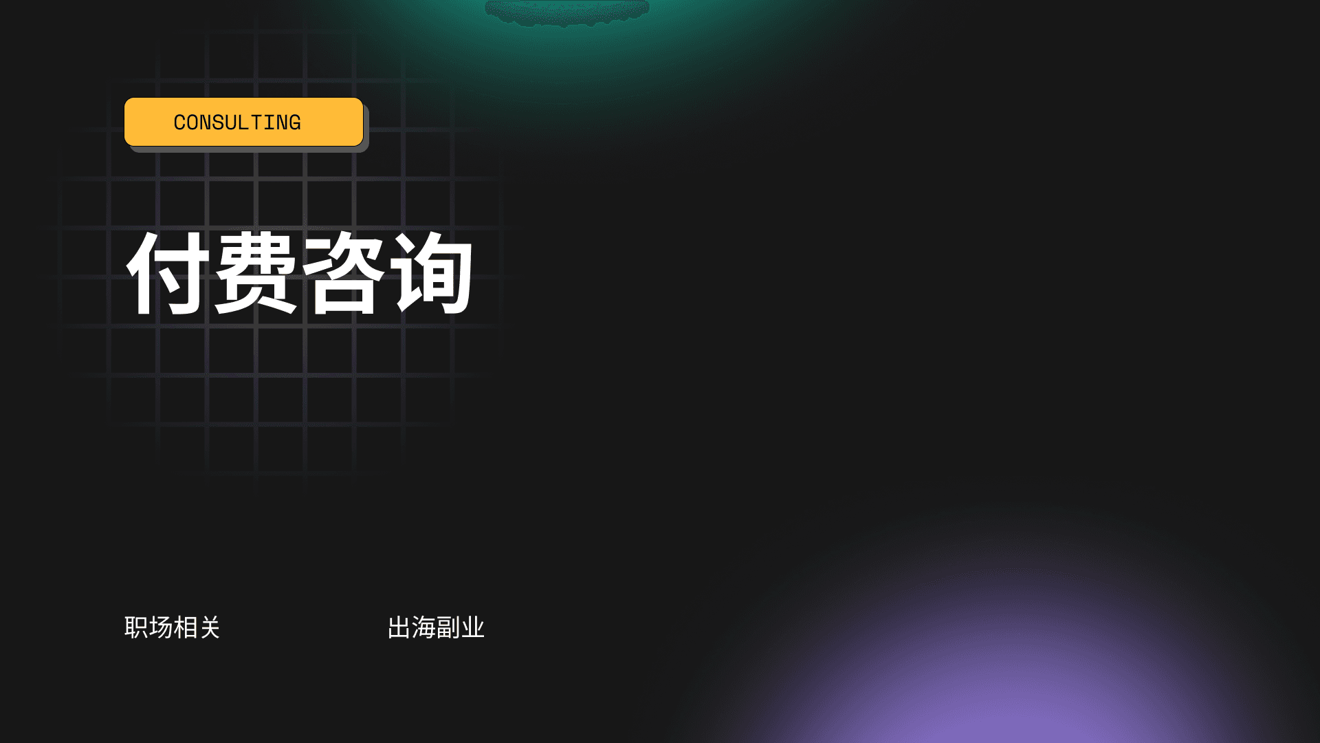 付费咨询